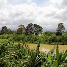 Tropische Landschaft - Costa Rica