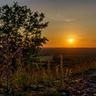 Tropische Sonne über der Halde Haniel