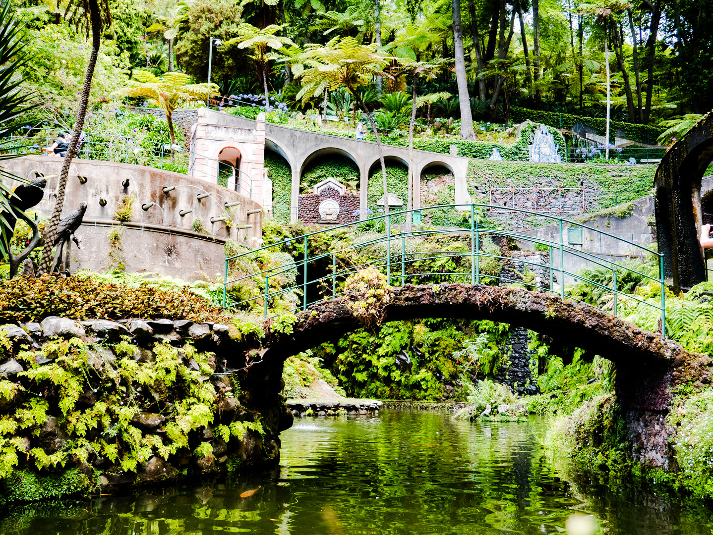 Tropischer Garten Funchal II Foto &amp; Bild europe