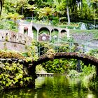 Tropischer Garten Funchal II