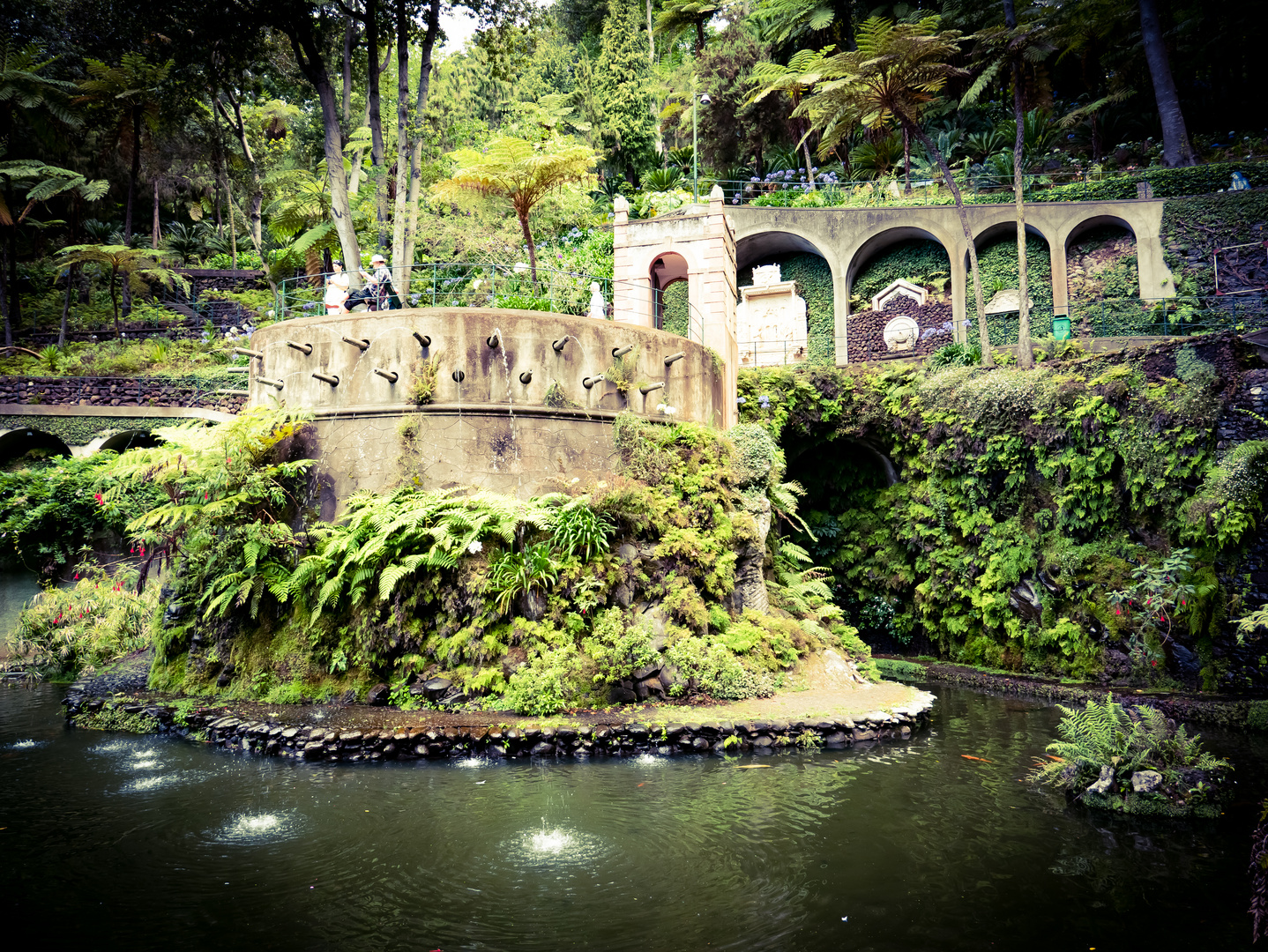 Tropischer Garten Funchal IV Foto &amp; Bild europe