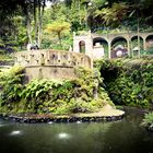 Tropischer Garten Funchal IV