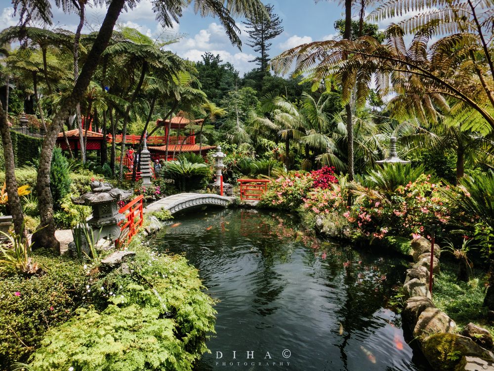 Tropischer Garten MONTE PALACE Funchal Maddeira Foto & Bild