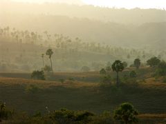 Tropischer Morgennebel auf Rinca