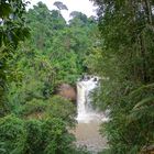 Tropischer Regenwald in Thailand