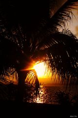 Tropischer Sonnenaufgang