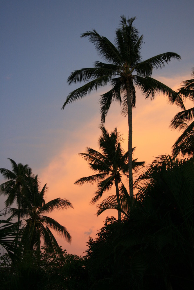 Tropischer Sonnenuntergang