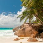 Tropischer Strand auf den Seychellen