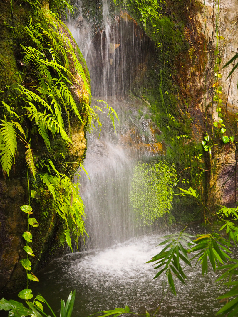 Tropischer Wasserfall