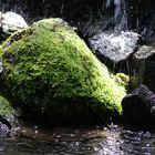 Tropischer Wasserfall in Frankfurt