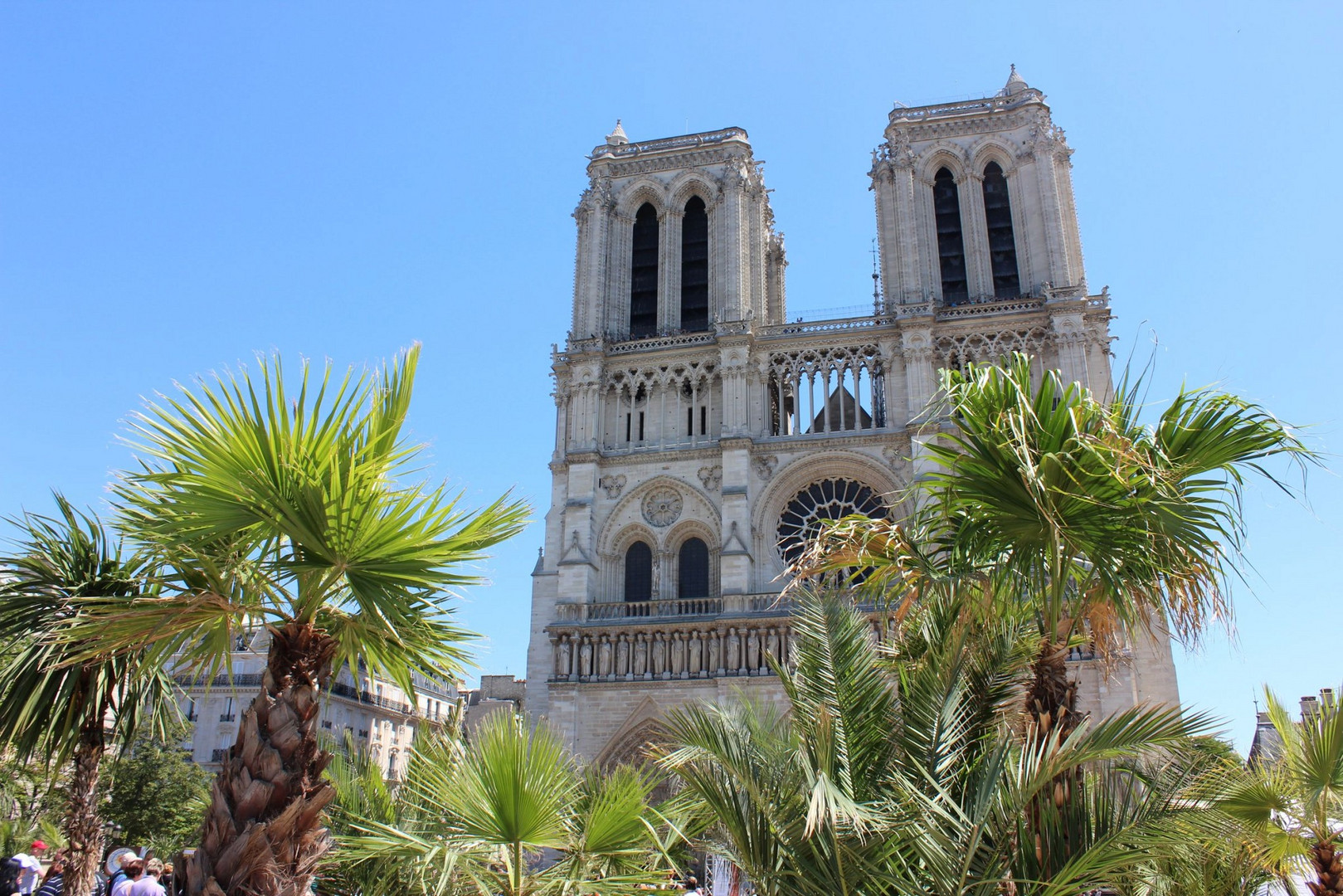 Tropisches Notre Dame