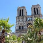 Tropisches Notre Dame