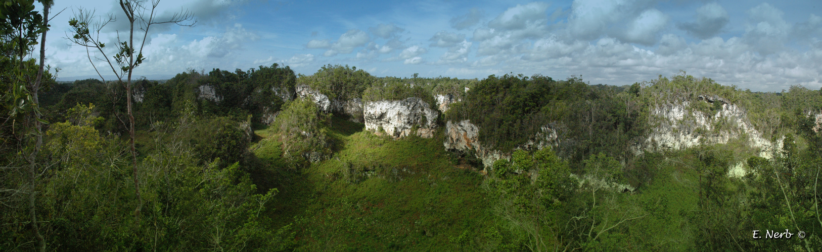 Tropisches Panorama