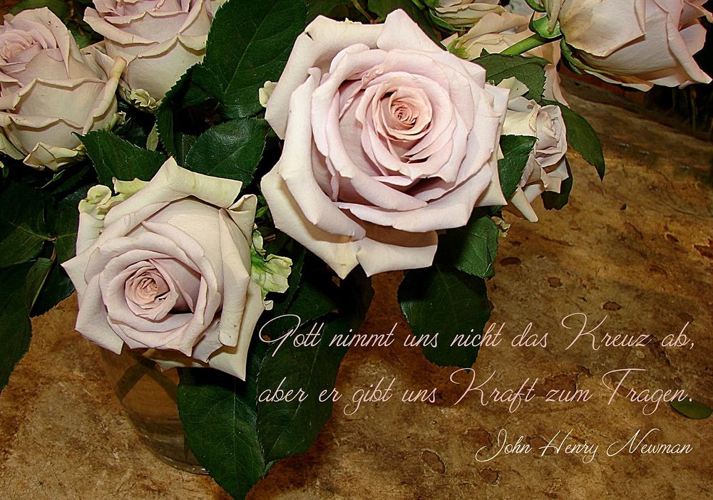 Trost Foto & Bild karten und kalender, karten 2013, spezial Bilder