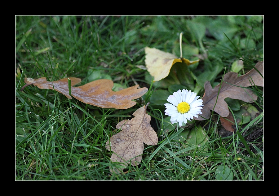 Trost im Herbst