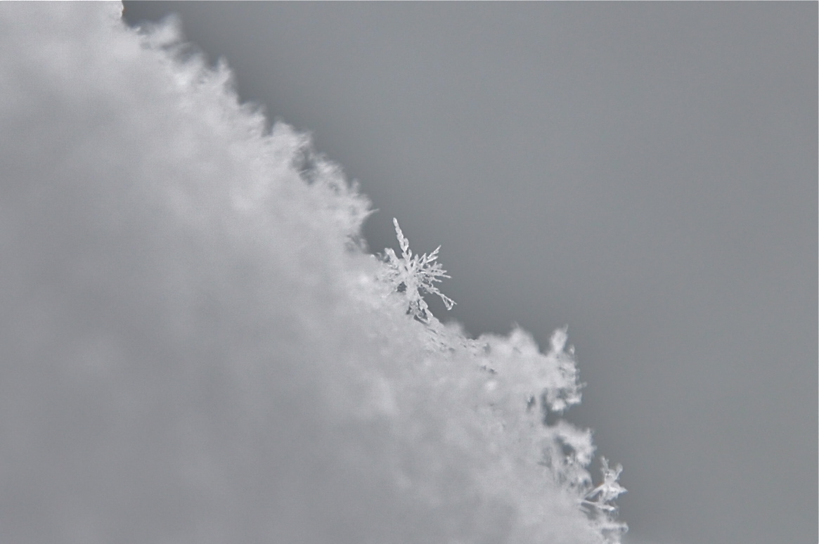 Trostloses Schneekristall