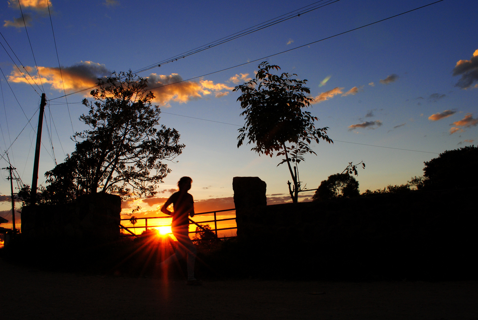 Trotando en el ocaso