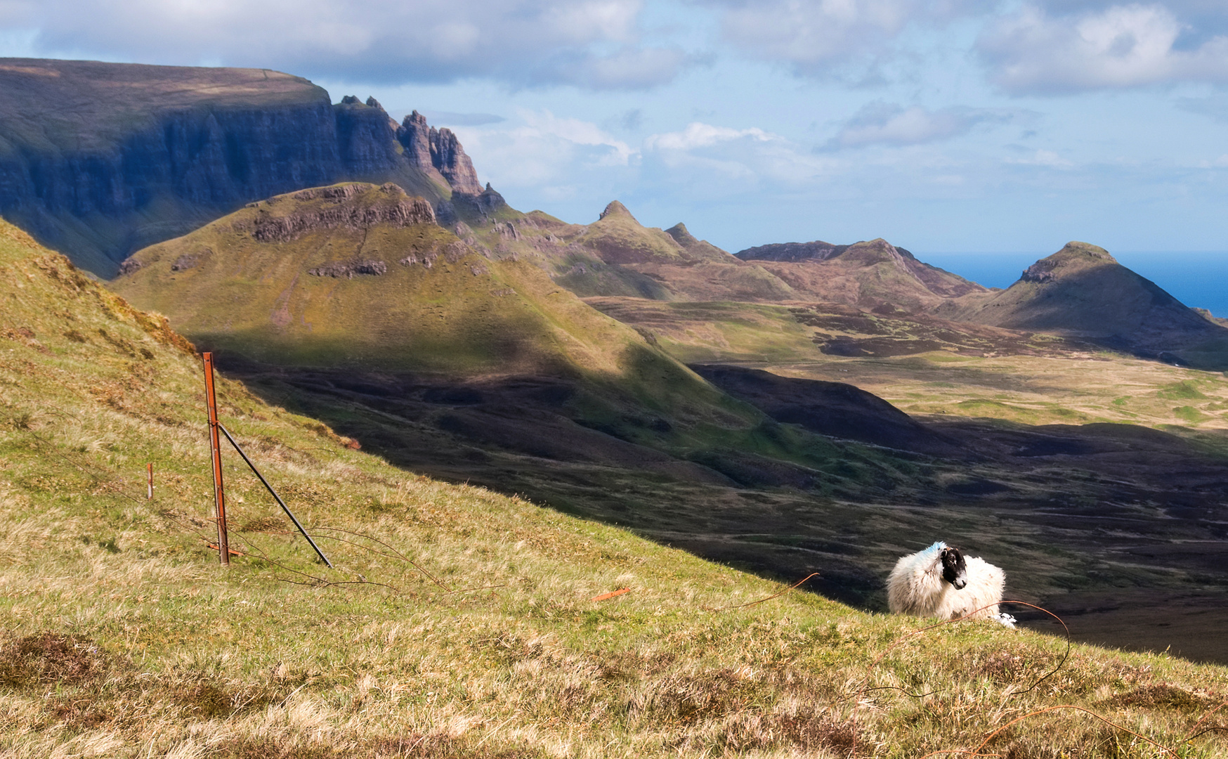 Trotternish Ridge, ein Schaf und ein Zaun