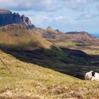 Trotternish Ridge, ein Schaf und ein Zaun