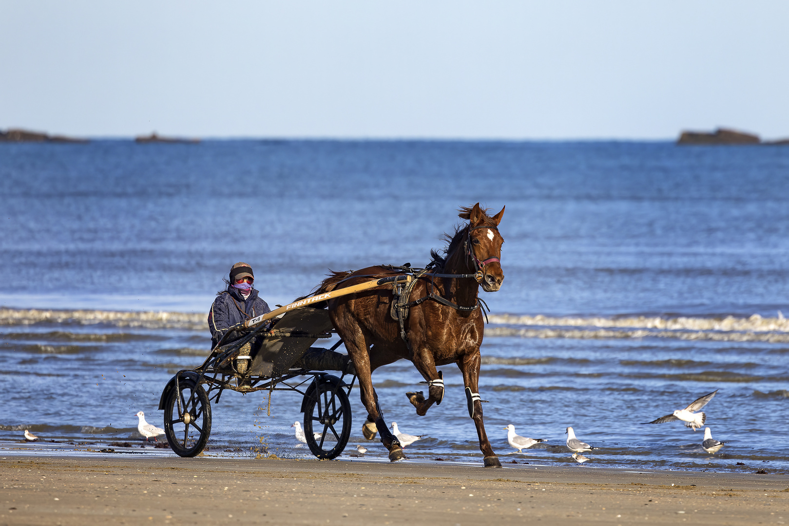 Trotteur à l'entraînement