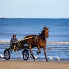 Trotteur à l'entraînement