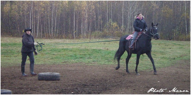 Trotteuse Américaine