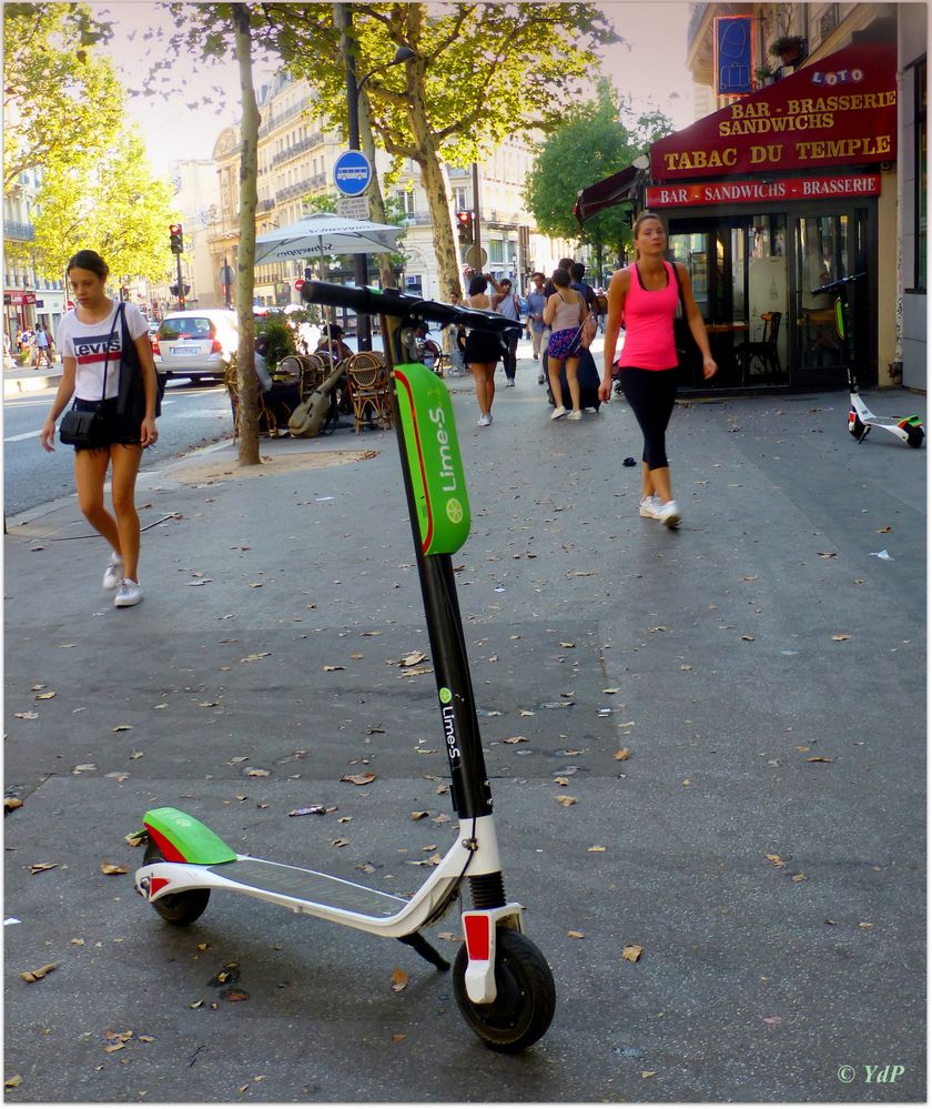 Trottinettes électriques en libre-service...