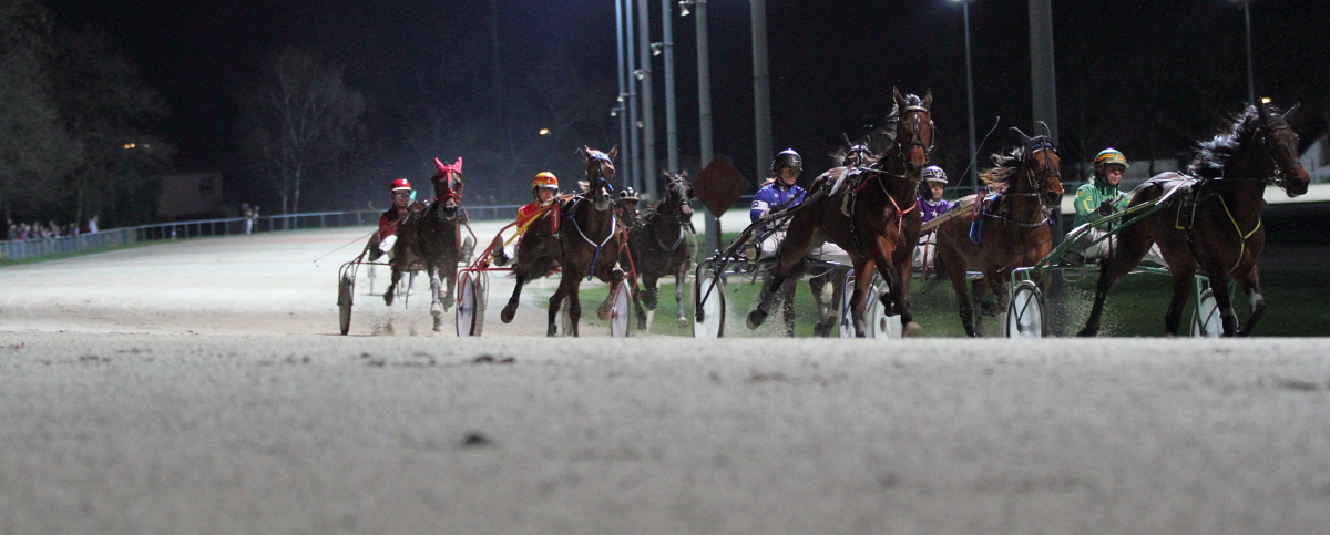 Trotting Race