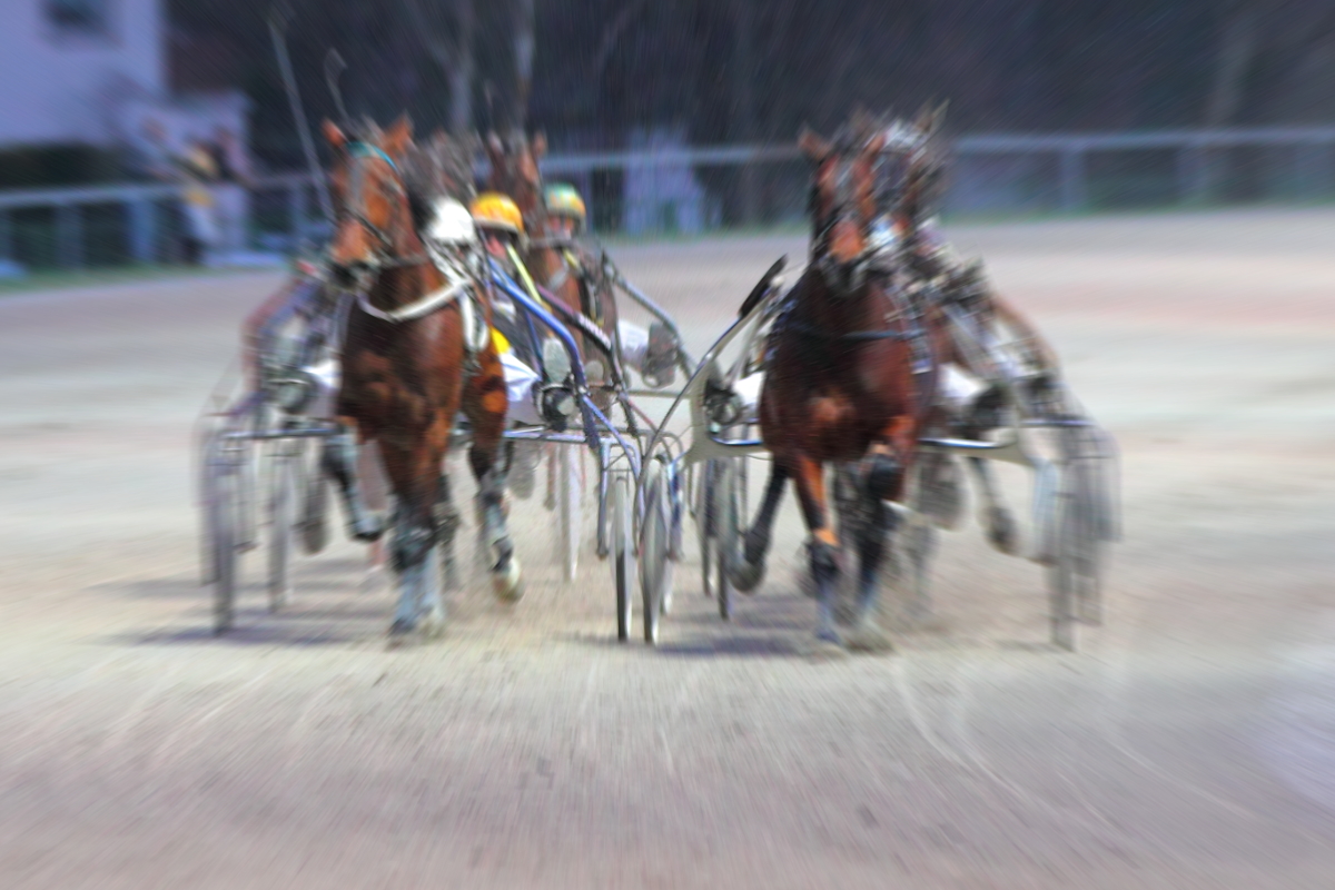 Trotting Race Gruppe Dynamik