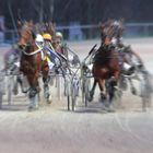 Trotting Race Gruppe Dynamik