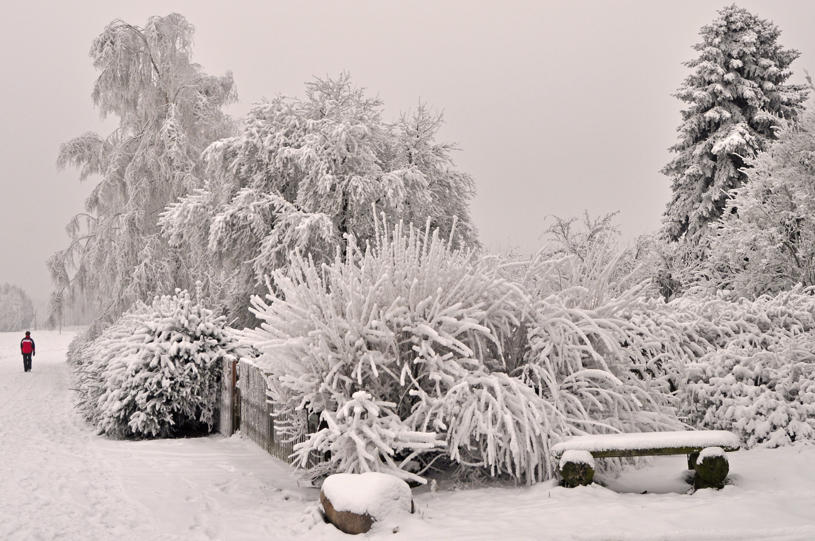 Trotz des fast ausgebliebenen Winters doch noch ein Wintermotiv