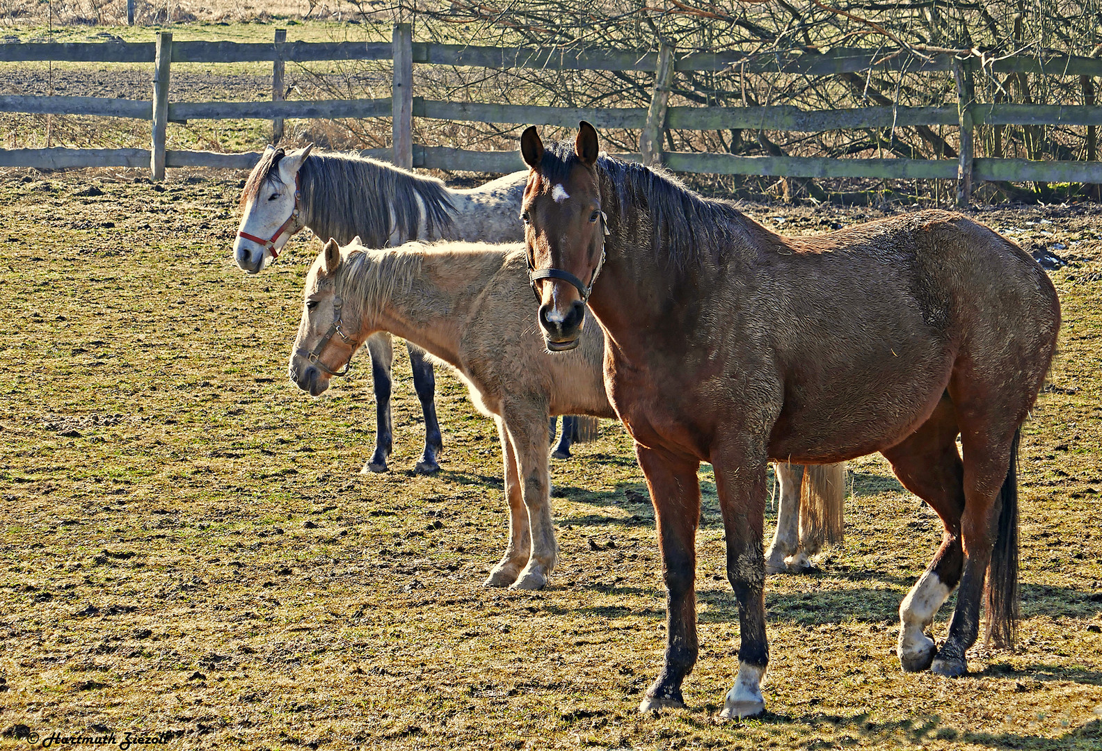 Trotz Dreckwetter: entspannt bleiben!