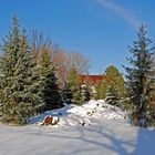 trotz Frühling lange Schatten des Winters