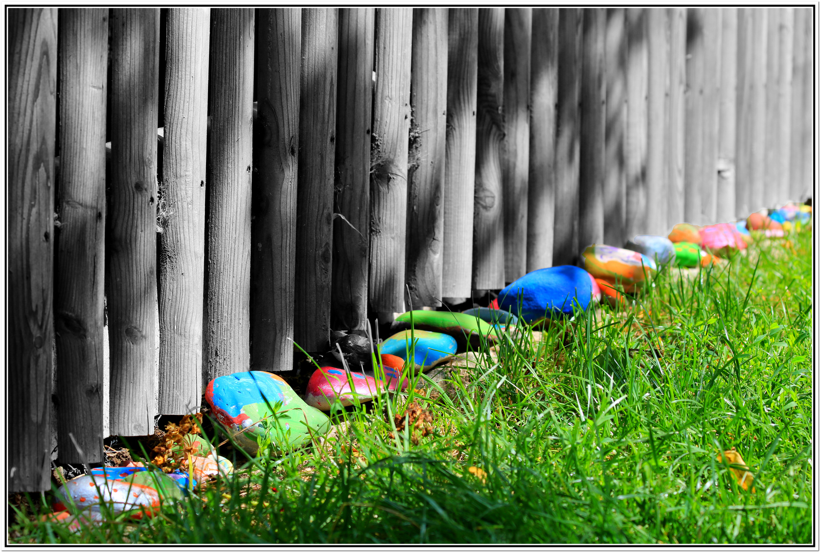 Trotz grauer Zäune, das Leben ist bunt...