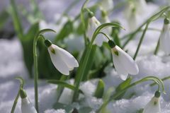 Trotz Schnee und Kälte....