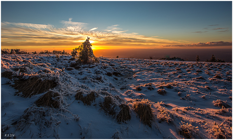 Trotz wenig Schnee...