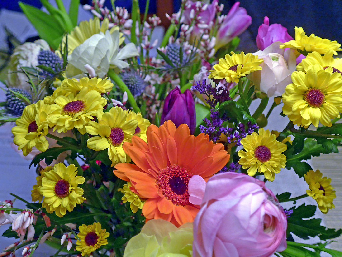 Trotz winter und nahender weihnachten sende ich euch blumen - sie mögen