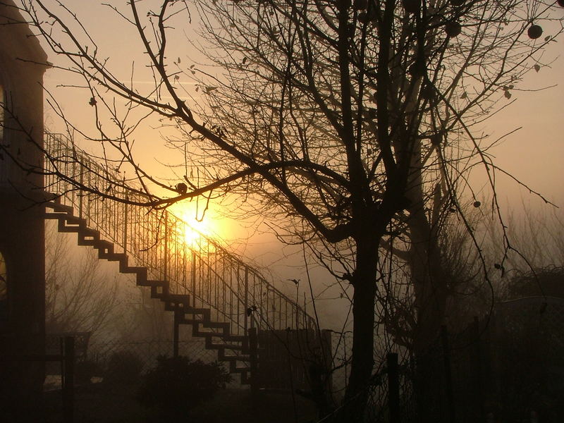 Trotz Winternebel ein wunderschöner Tag....