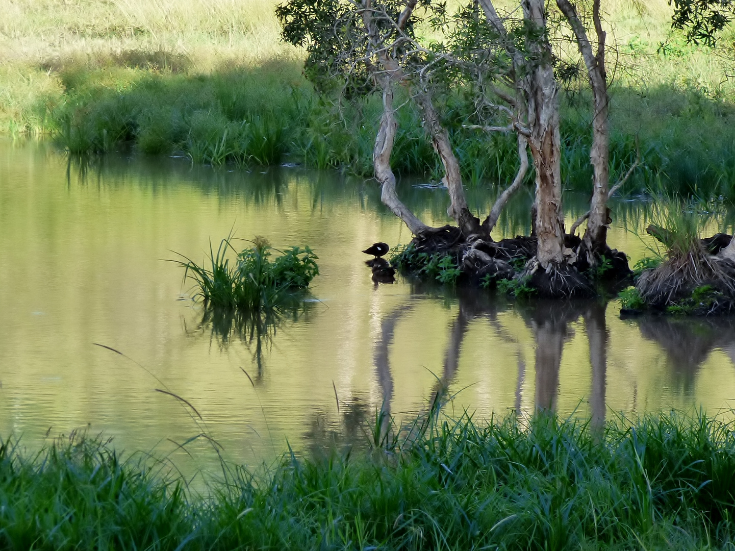 Trou d'eau