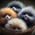 Trouble with Tribbles