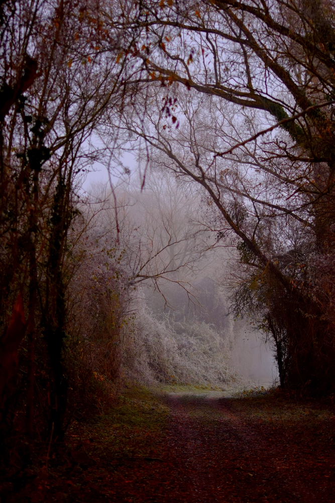 Trouée hivernale