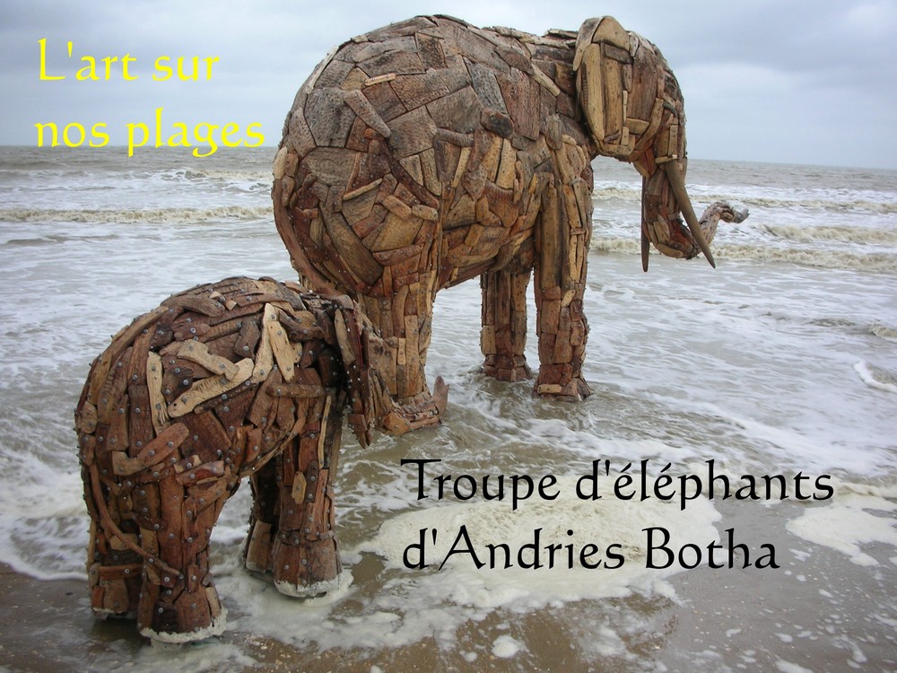 Troupe d'éléphants d'Andries Botha (Mer du Nord, Belgique, 2006)