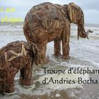 Troupe d'éléphants d'Andries Botha (Mer du Nord, Belgique, 2006)