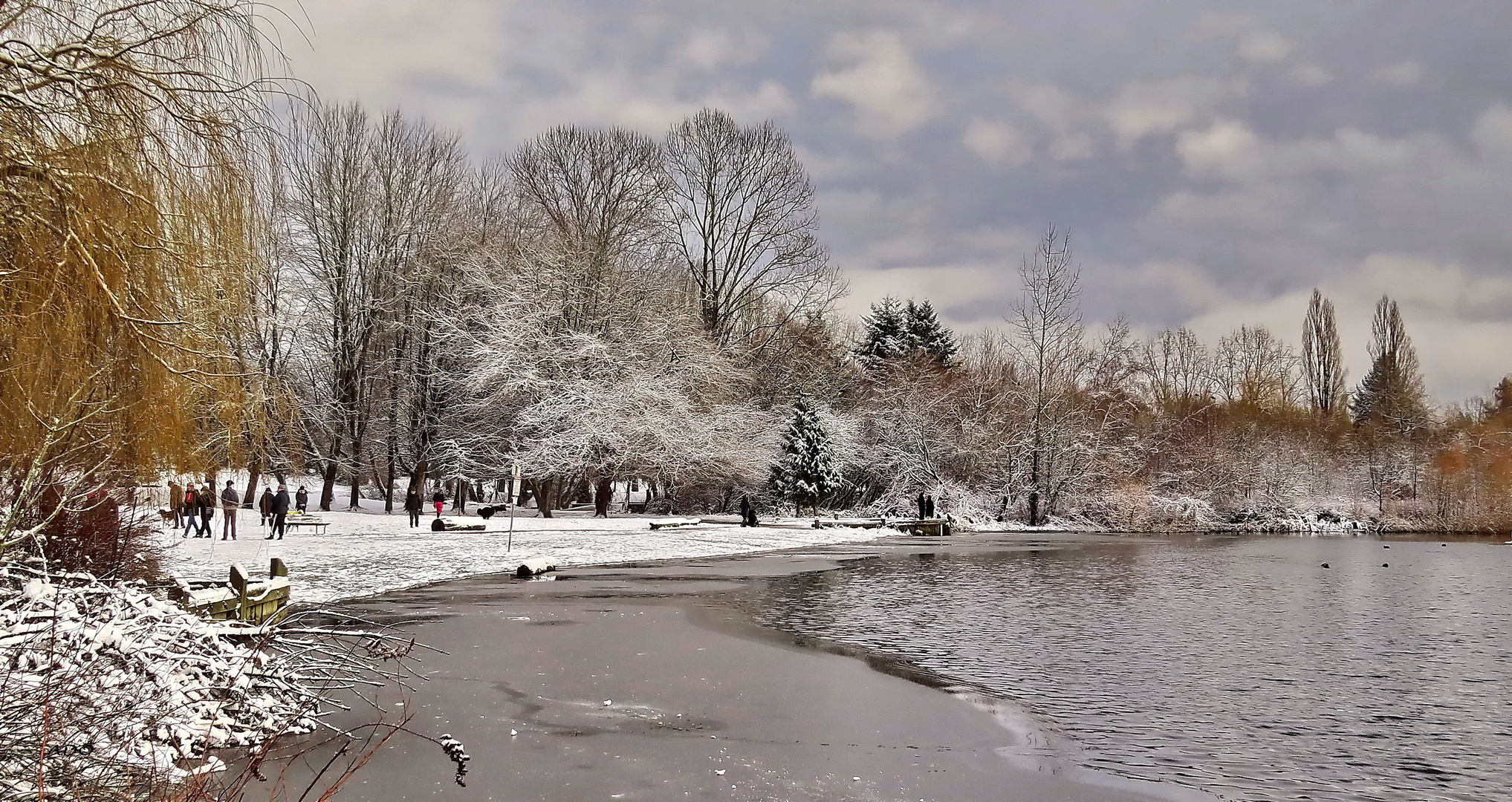 Trout Lake