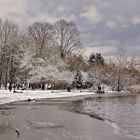 Trout Lake