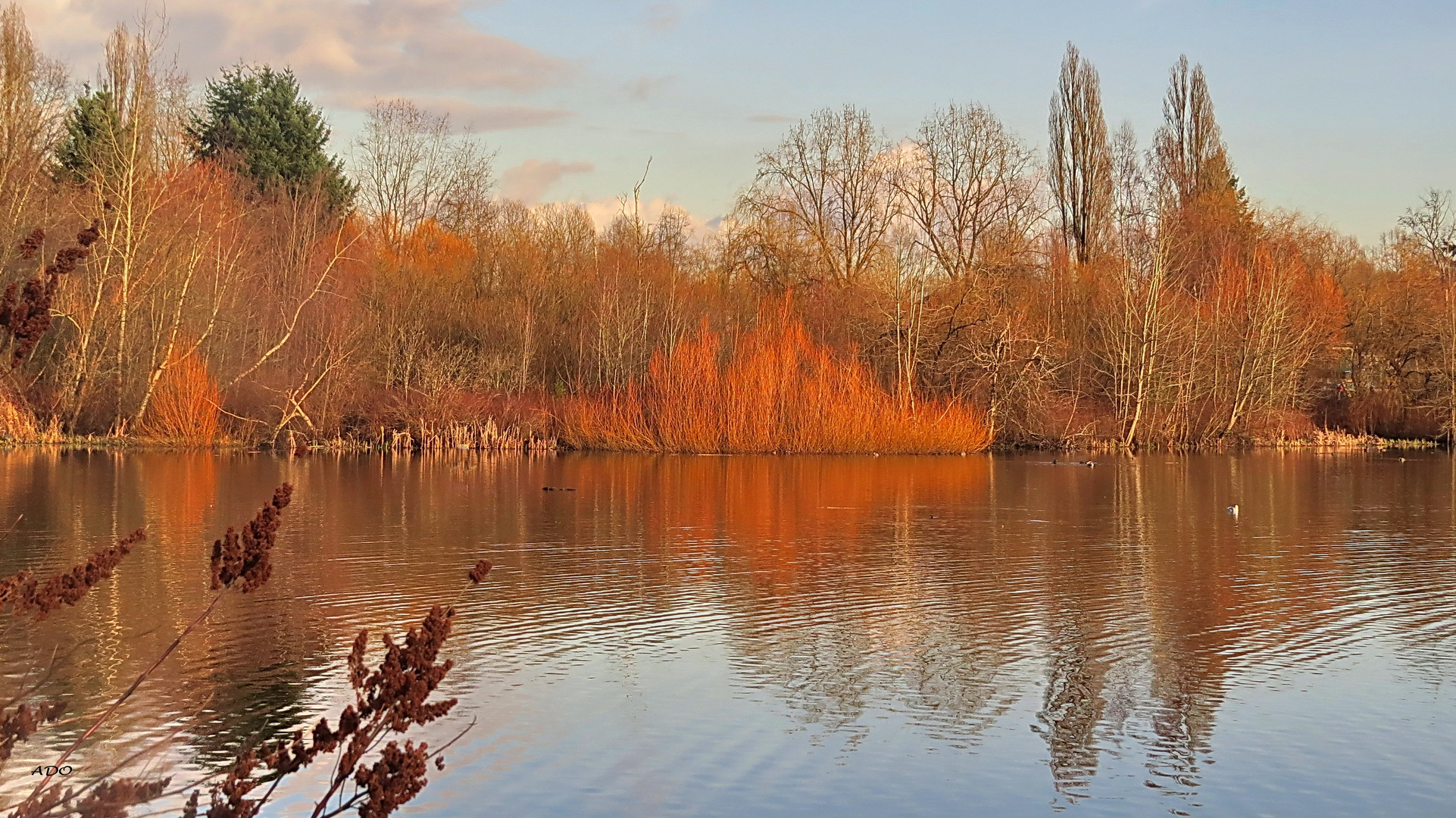 Trout Lake