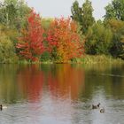 Trout Lake