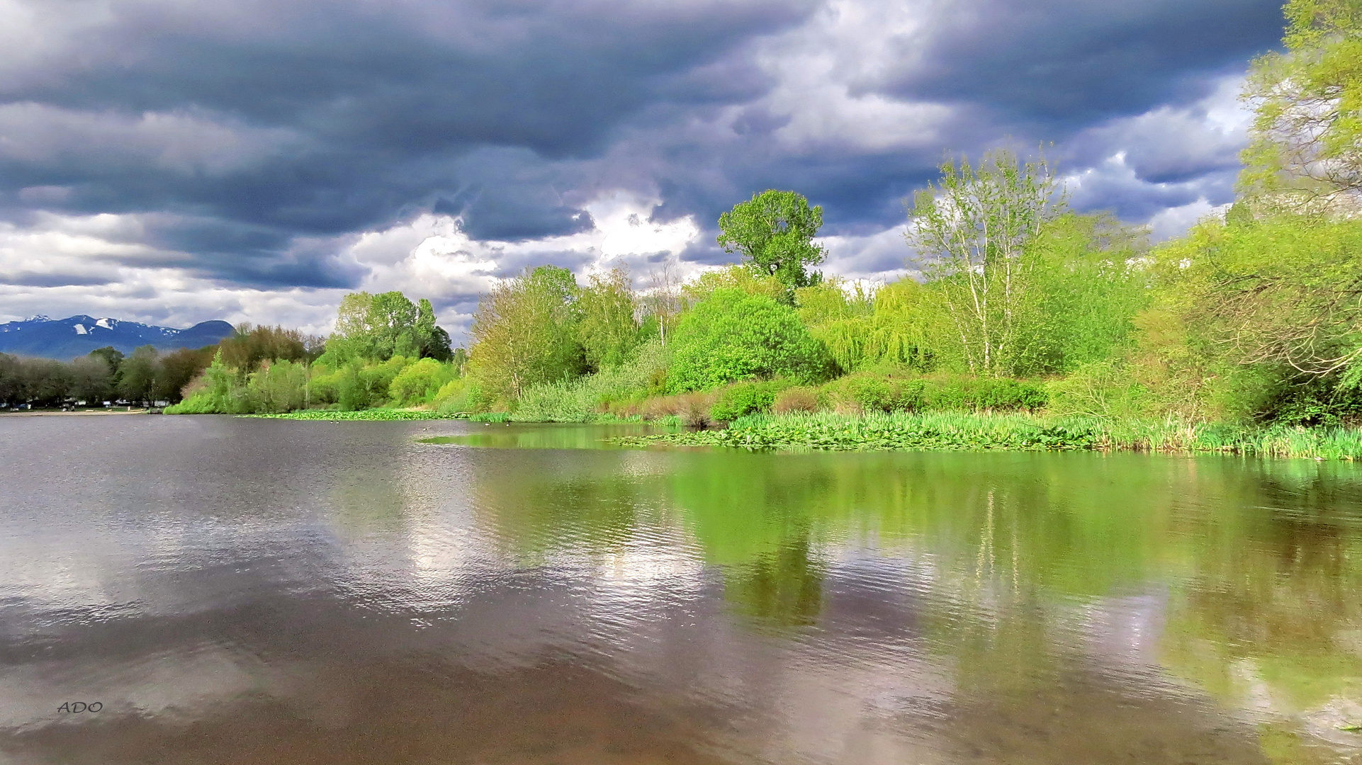 Trout Lake in May