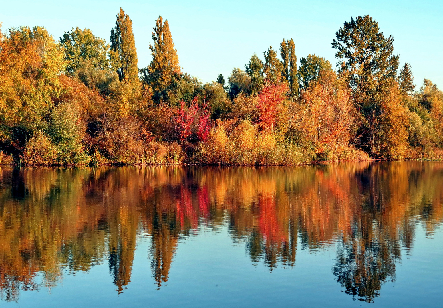 Trout Lake Reflections