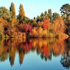 Trout Lake Reflections